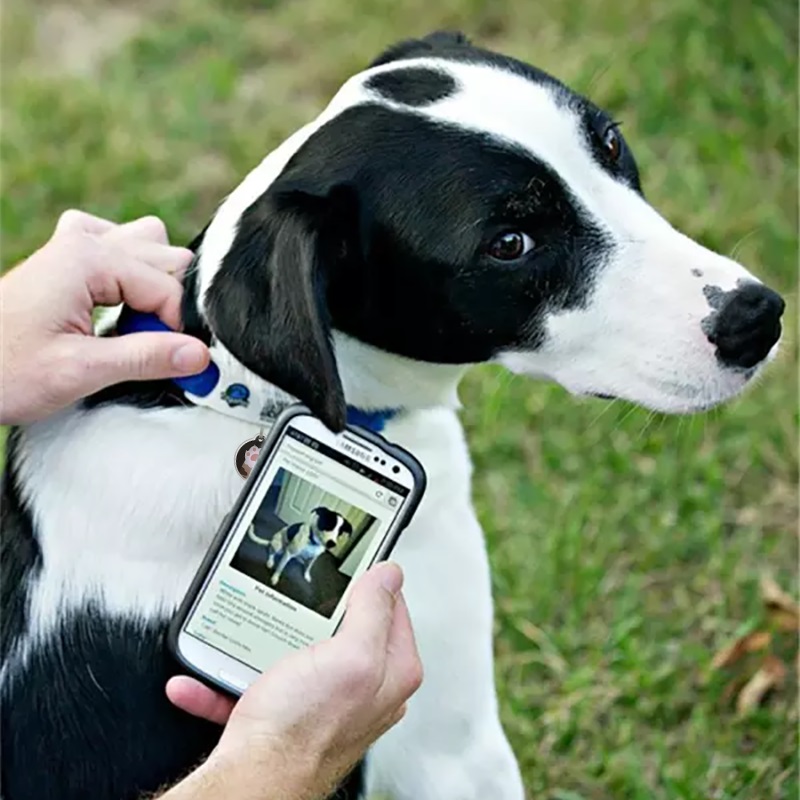 Hersteller von wasserdichten Epoxidharz-Smart-NFC-QR-Code-HAUSTIER-Hundemarken